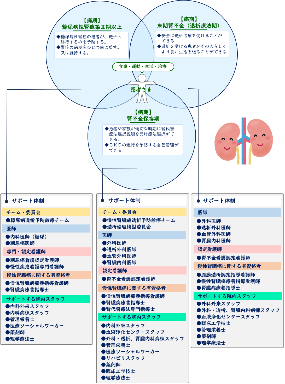 慢性腎臓病のサポート体制.png